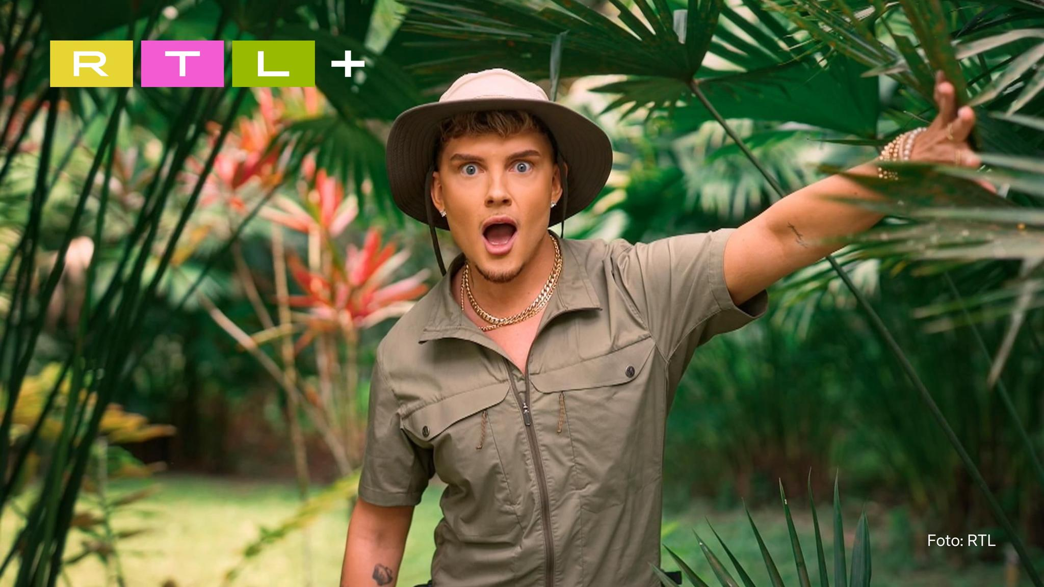 Streaminghighlights im Februar